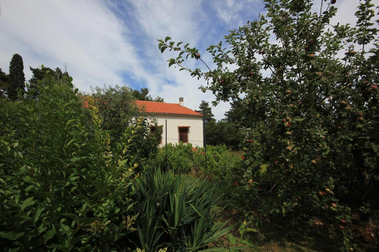 Apartments With A Parking Space Veli Losinj, Losinj - 8029 외부 사진